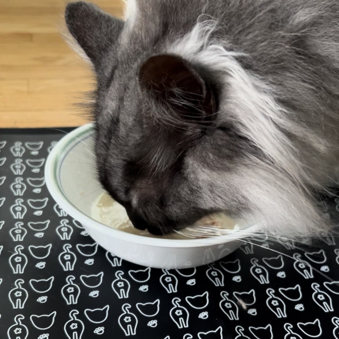 travelcatfoodmat1.jpg