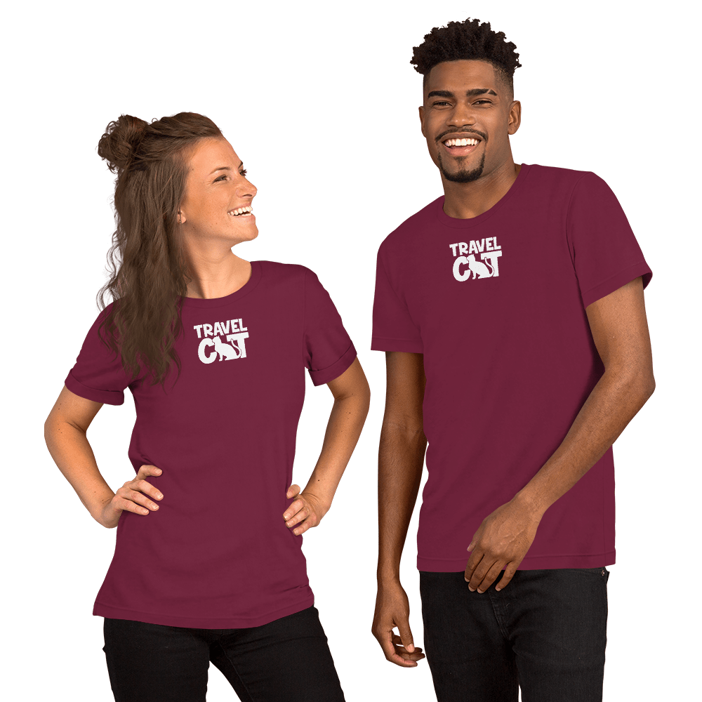 unisex-staple-t-shirt-maroon-front-63f8b5daa31ca.png