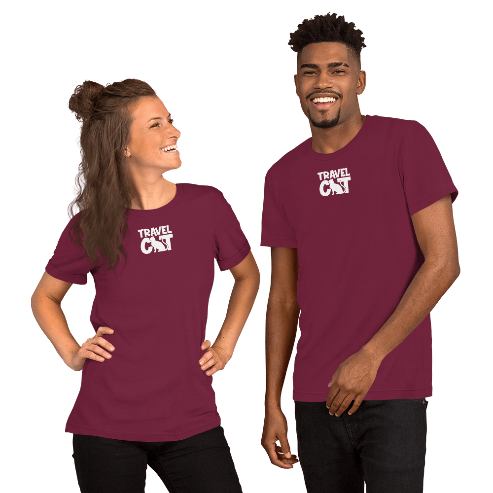 unisex-staple-t-shirt-maroon-front-63f8b5db86dfc.png